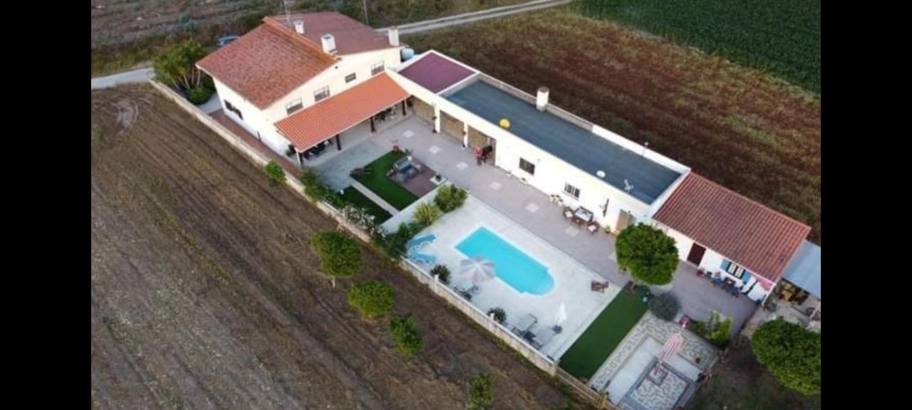 Casa Calado Villa Cadima Exterior photo
